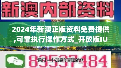 新澳2024年正版资料,新澳2024年正版资料深度解析