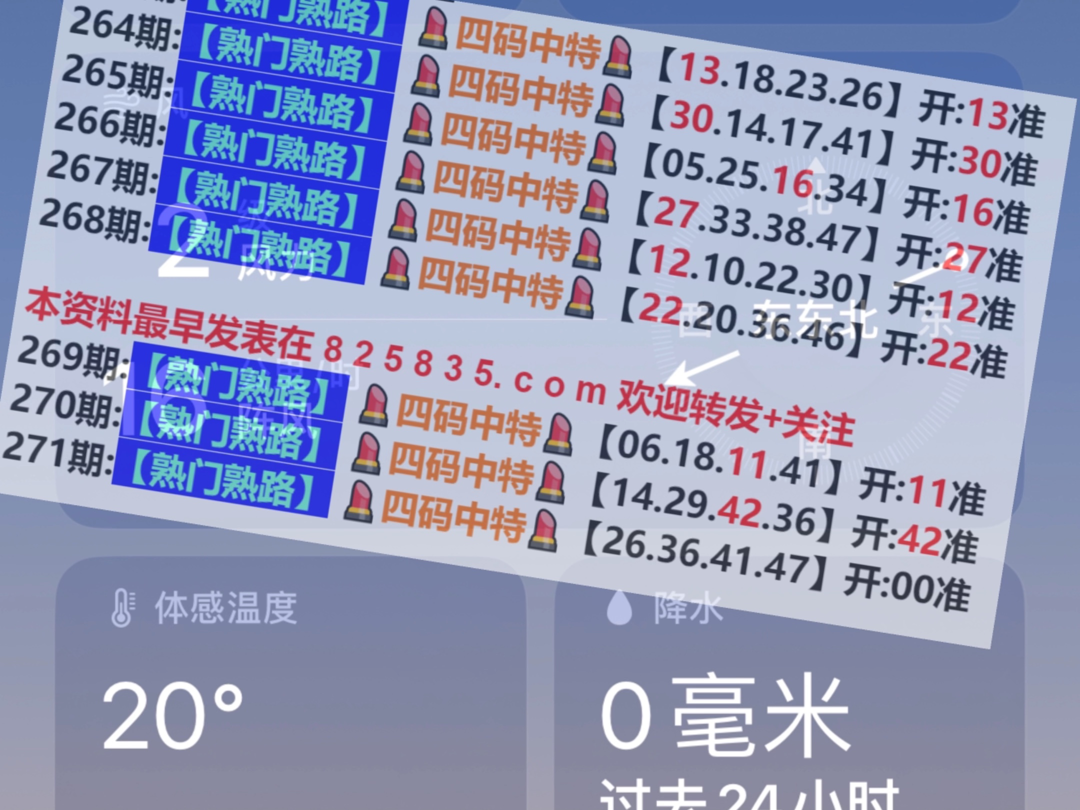 2024新奥门免费资料,探索新奥门，揭秘免费资料的秘密（2024年全新解析）